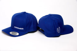 #doinabit Classic SnapBack Cap